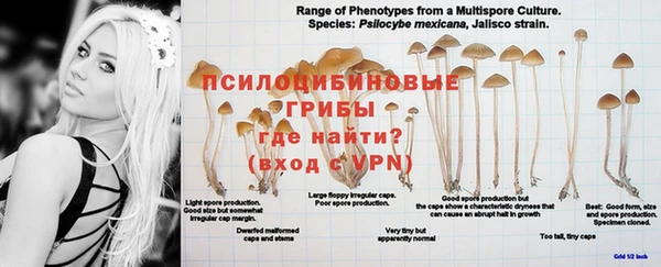 тгк Аркадак