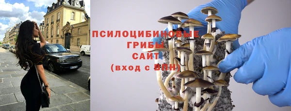 mix Алексин
