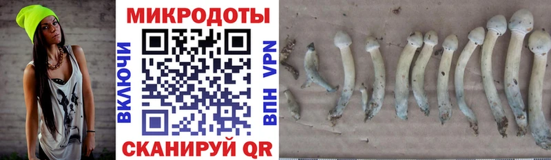 Купить  Чистополь  Псилоцибиновые грибы Psilocybe 